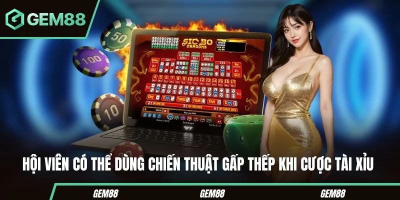 Hội viên có thể dùng chiến thuật gấp thếp khi cược tài xỉu